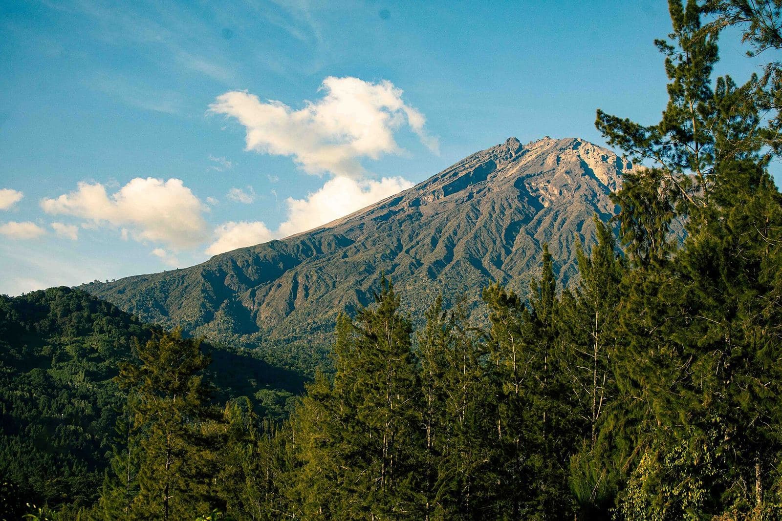 Mount Meru rising above the forest