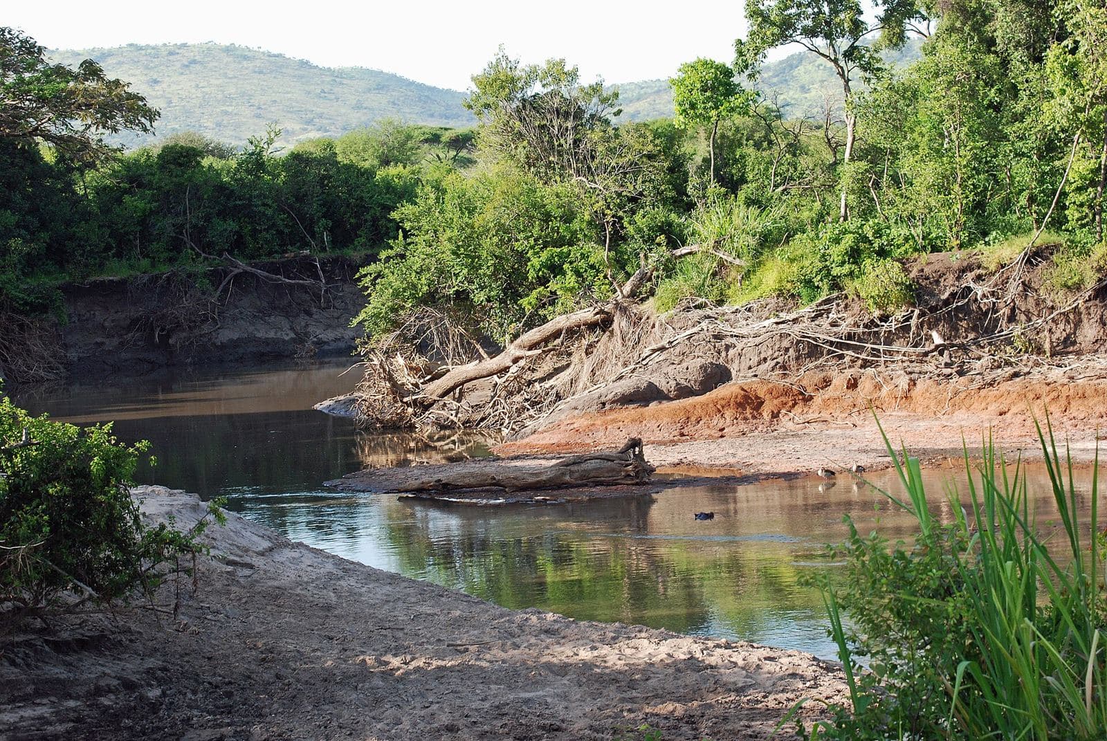 A river in the western Serengeti woodland