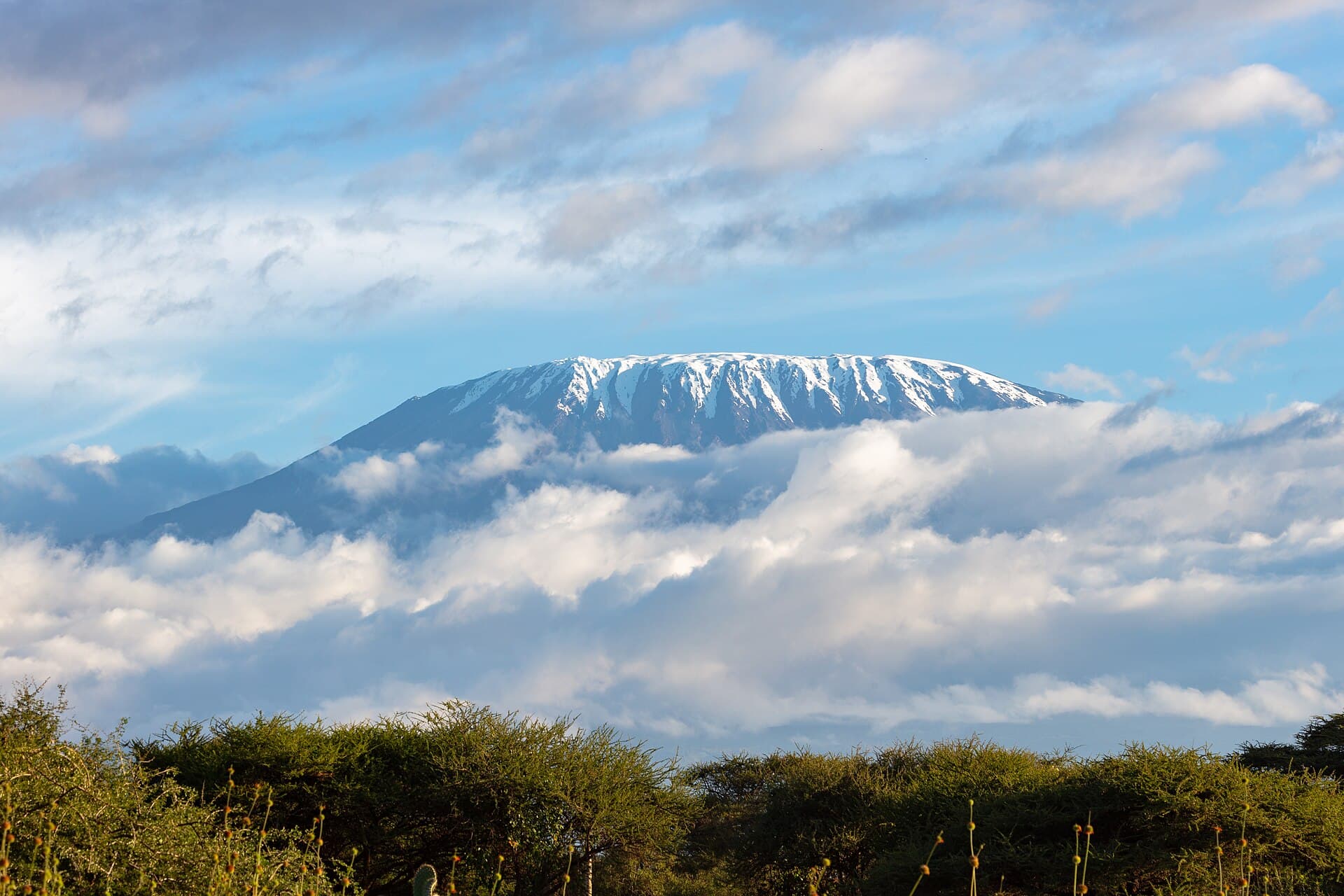 Snow-capped Mount Kilimanjaro above the clouds