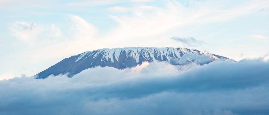 Kilimanjaro's snowy summit above the clouds