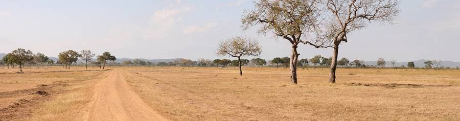 A dirt track through the open plains of Mikumi