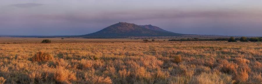 Sunrise over the Serengeti plains