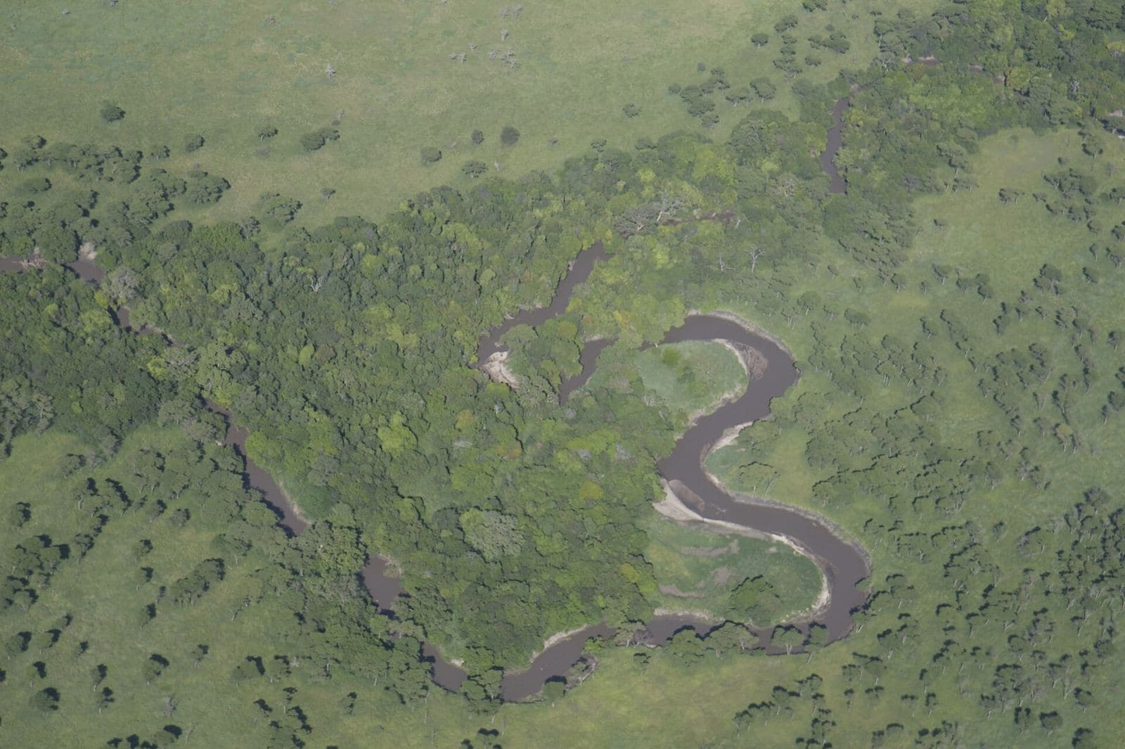Aerial view of the Grumeti River
