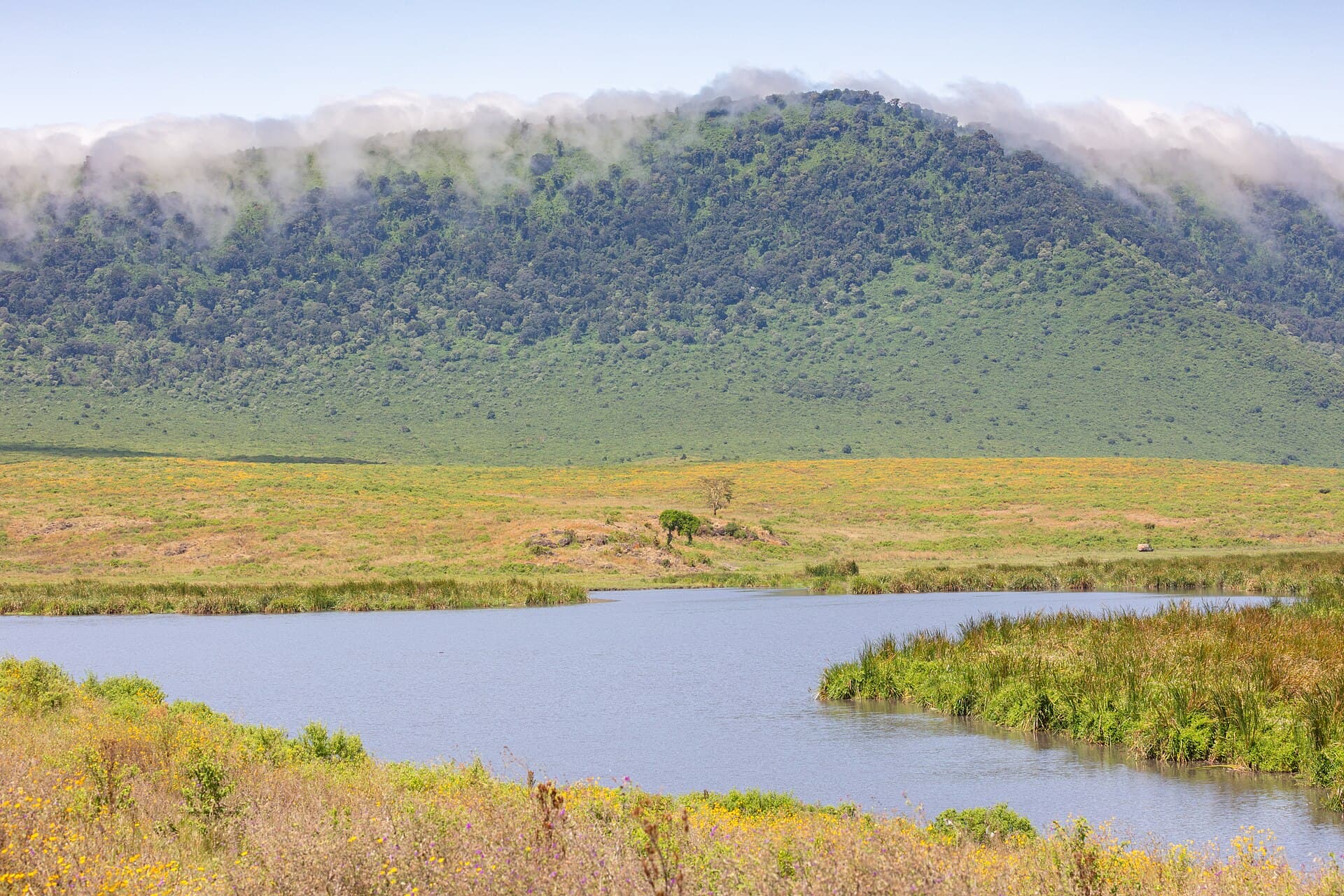 Green crater walls of Ngorongoro with a river below